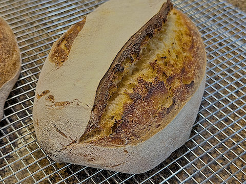 Pain au Levain