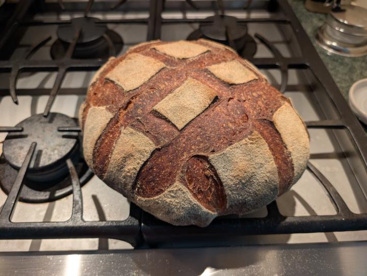 Miche In the Oven