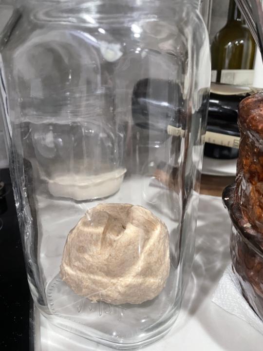 Miche Levain