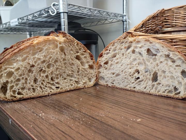 BC Classic 6.5 hour BF 