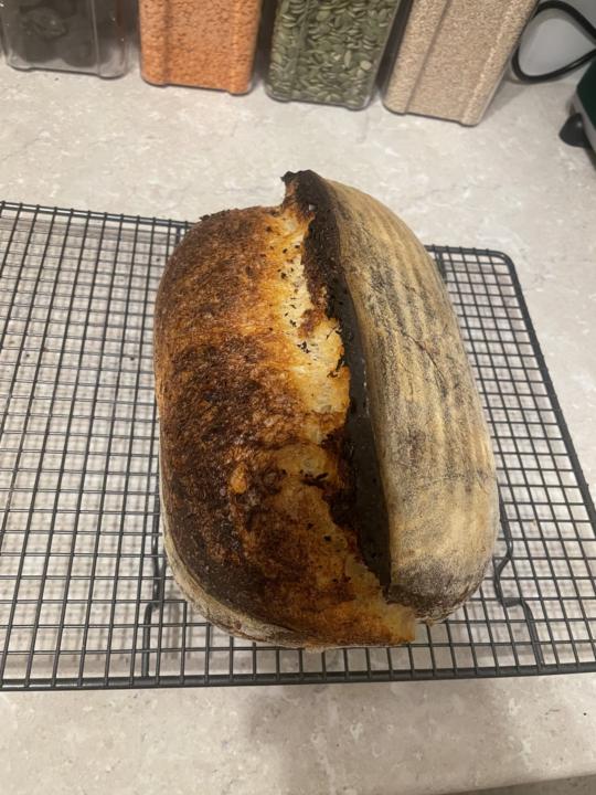 40%  Khorasan (Kamut) Sourdough Bread