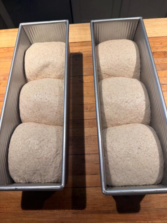 Pain de Mie