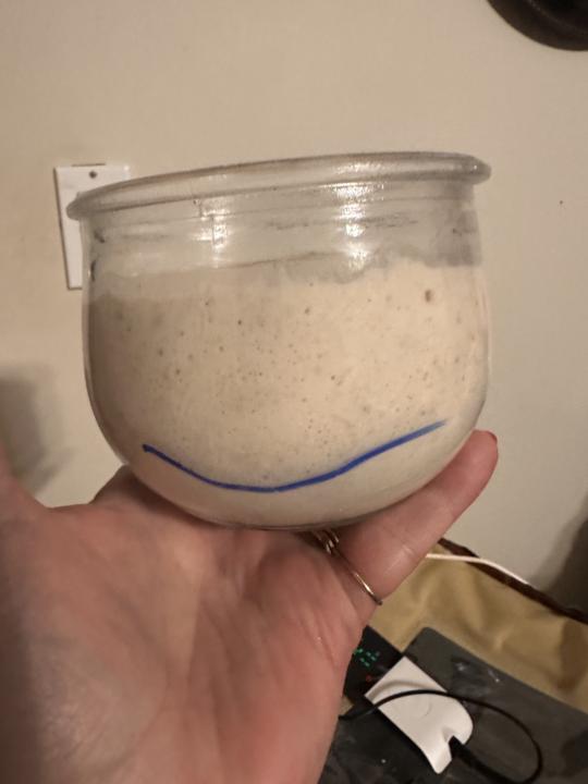 Please give my Sourdough Country Loaf a bread score. 