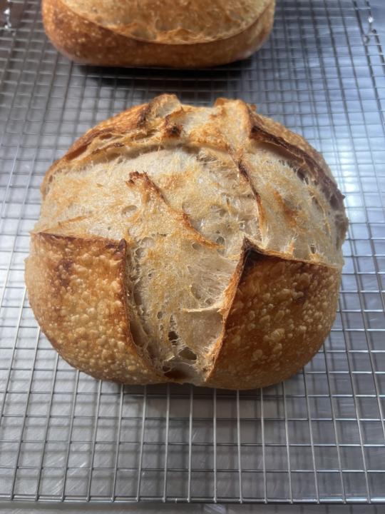 Feedback Needed!