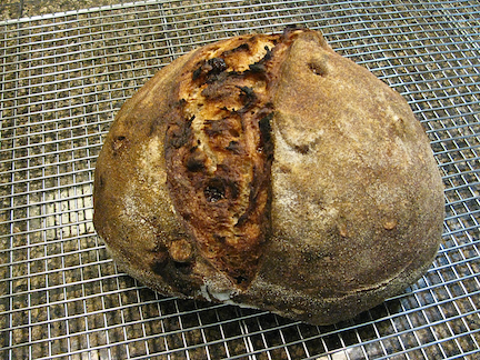 Pain aux Noisettes et Figues