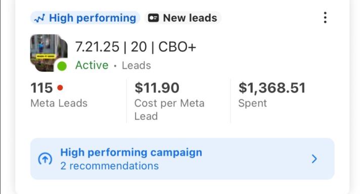 Window Cleaning Ad Pro