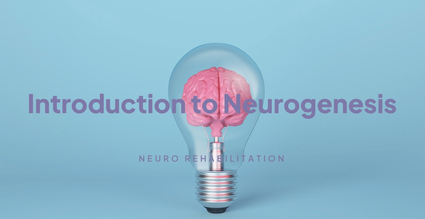 Introduction To Neurogenesis