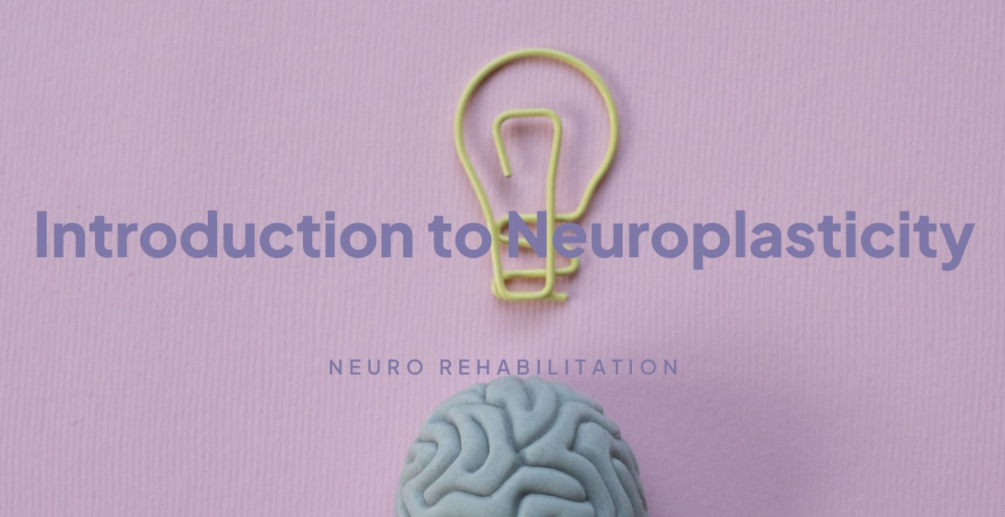 Introduction To Neuroplasticity
