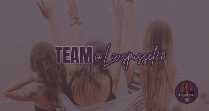 Team Livspussel2.0