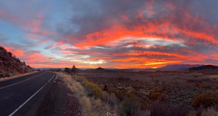 Collective - healing community