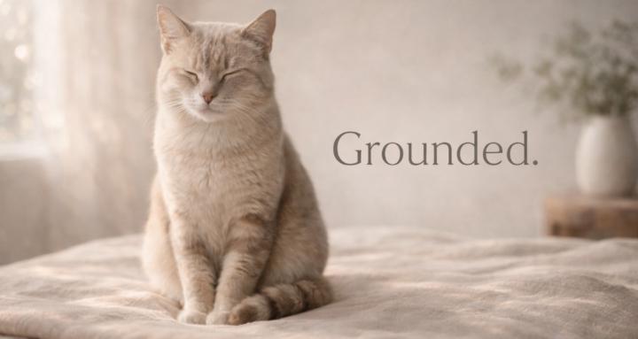 Grounded.