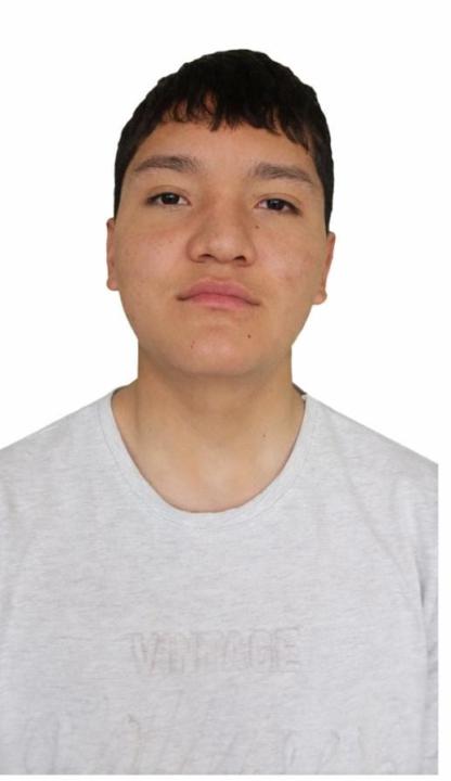 Junior Ernesto Dominguez Vargas