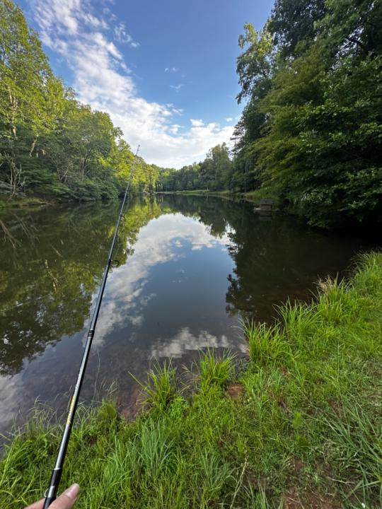 Moses Lopez Martinez