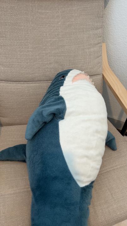 佩瑋 何