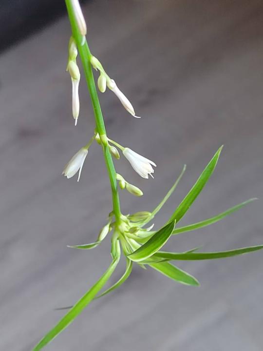 Again,is it a good sign?