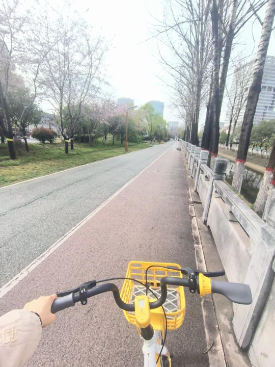 The way to the library