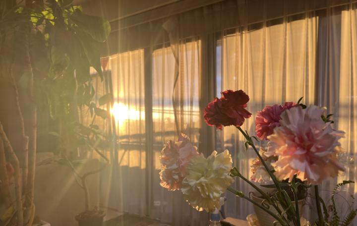 Flowers Still Going Strong