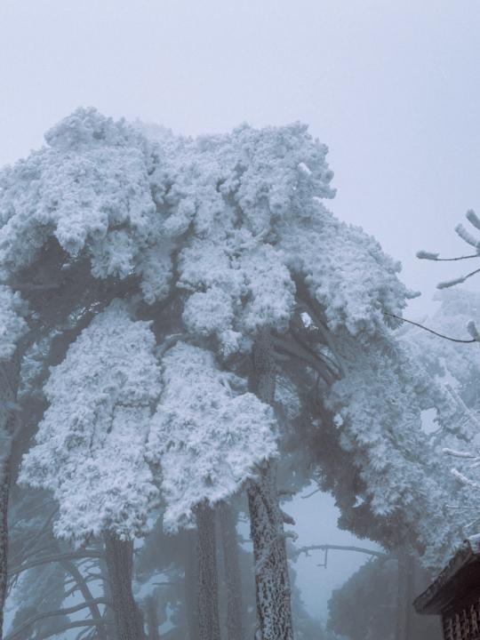 rime and sea of clouds