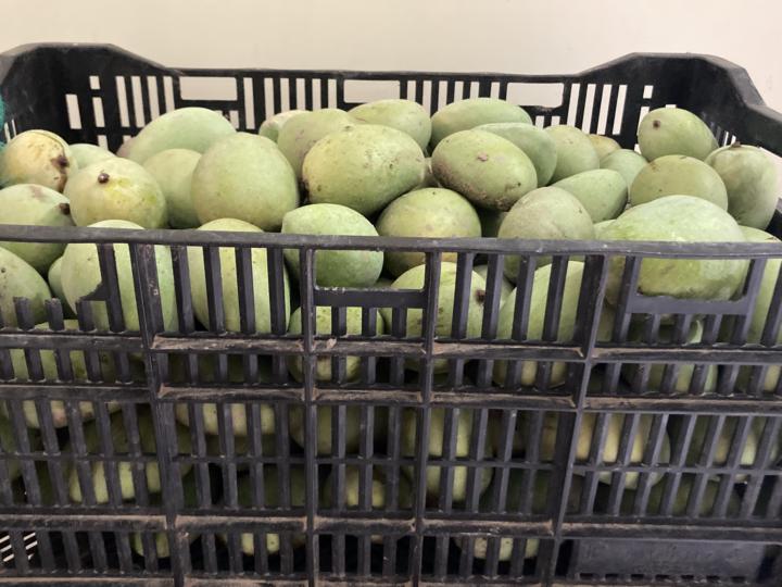 RIP to RIPE ! THEY couldn't MAKE IT! 😢 THE STORM hit them today MORNING! 
