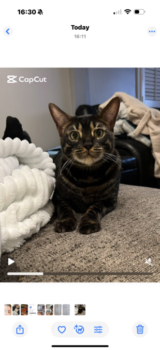 Me, when try to understand native speakers!