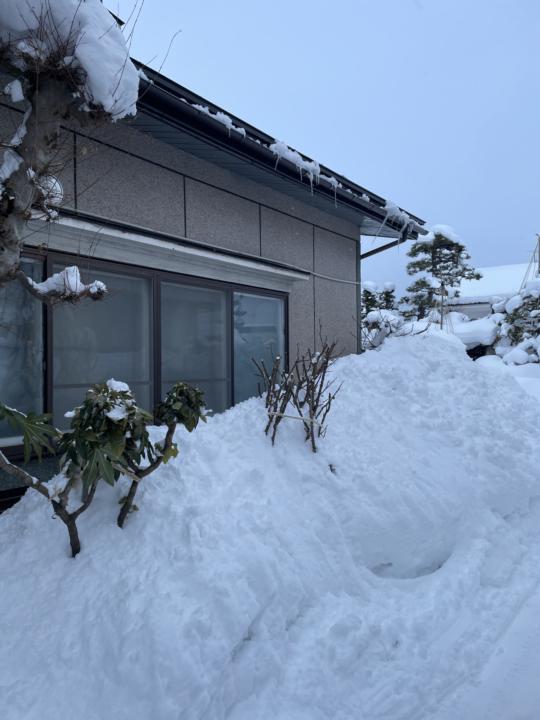 I hate snow — final bout. 💪