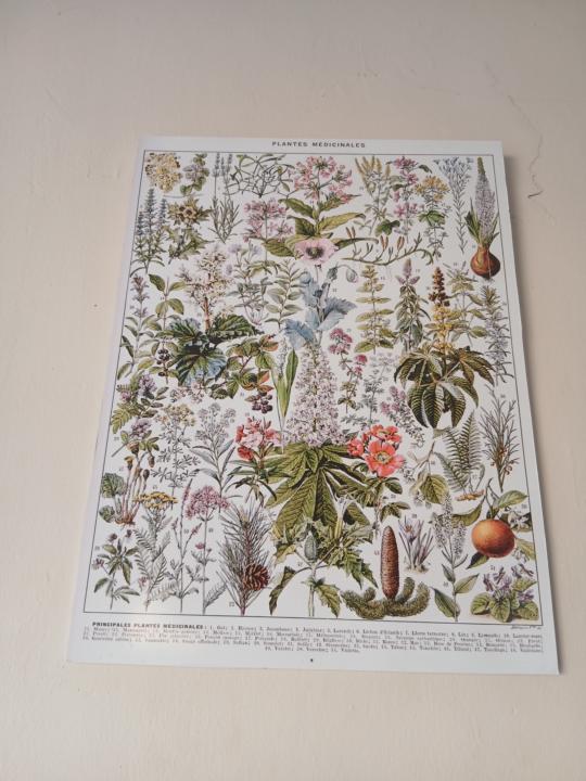 What do you call this painting?