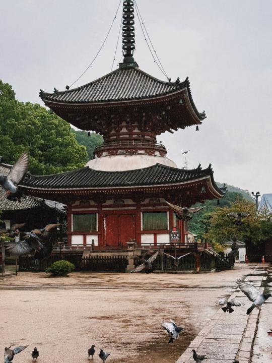 A day trip to a quiet town, Onomichi in Japan