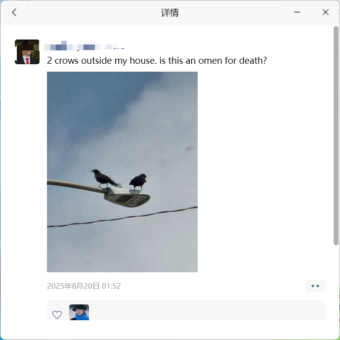 crows:lucky or unlucky