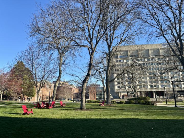 Spring is coming to town