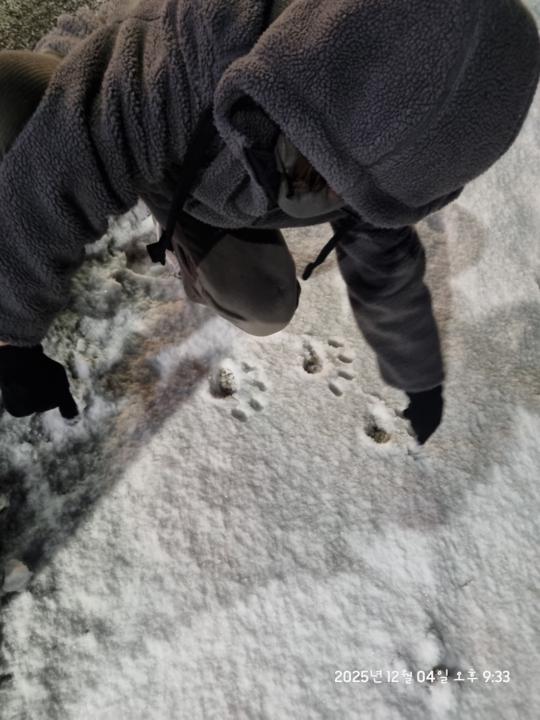 the first snow this winter