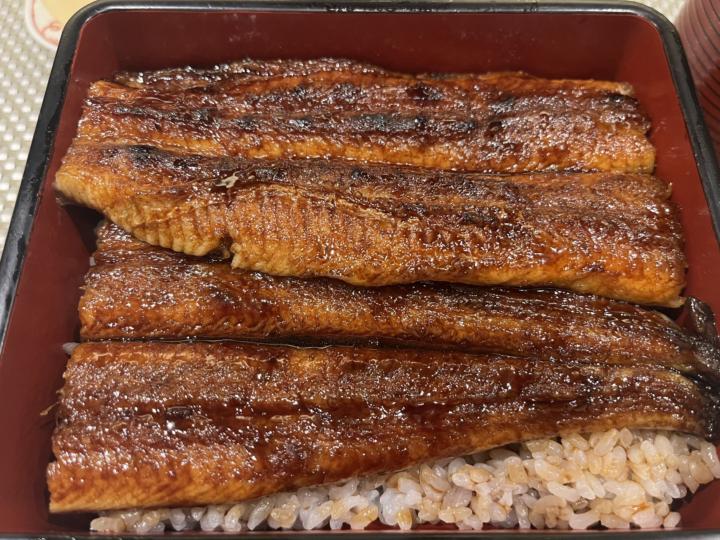 Eel on a Lawyer’s Tab