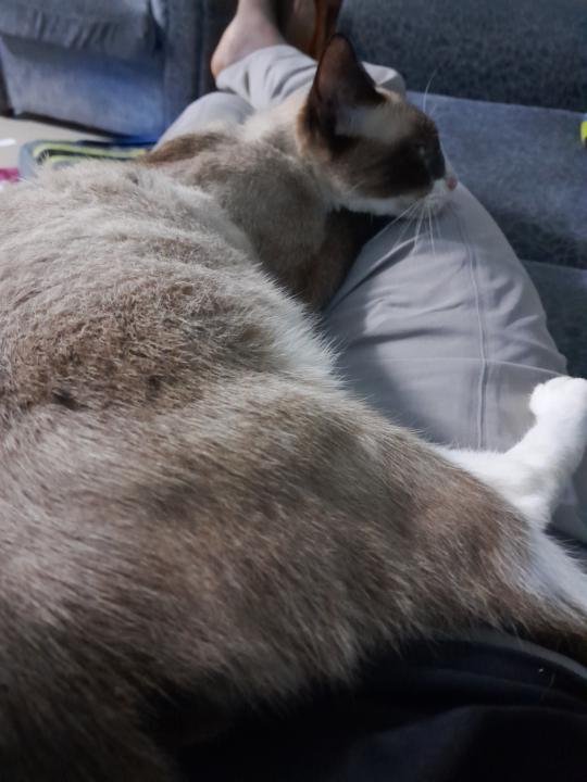 First post🎊 - First love🥰👐