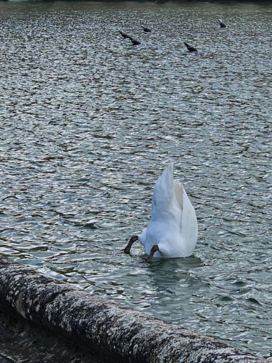 Any guesses what this is?