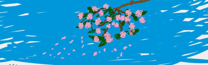 It might not really look like sakura, but…