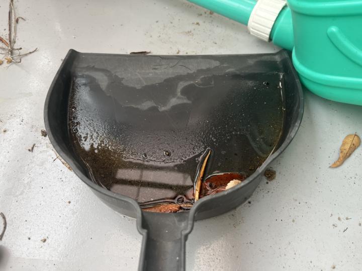 Rain in the Middle of the Night