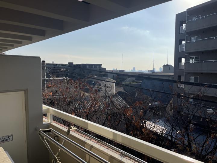 A Cat Through the Scaffolding