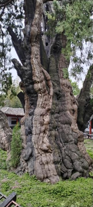 Travelling to the  mountain of  henan  province  in China