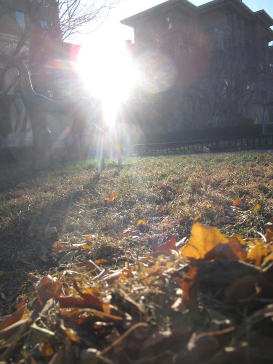 Like a dream,isn’t it?