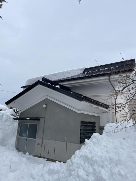 A Failed Free Fall, Successfully Baked⛄️ 😋