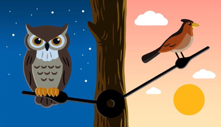 Night Owl or an Early Bird?
