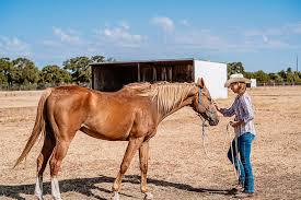 🤠 Texas Heart, French Soul: The Amazing Life of Martha 🇫🇷