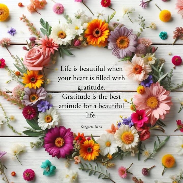 Gratitude🌸