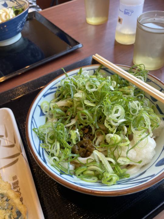 Summer Udon on a Scorching Day ☀️💦