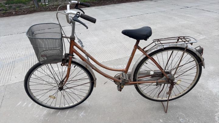 My old bicycle from 20 years ago