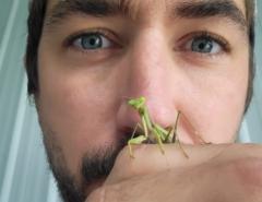 Samuel Hollingsworth