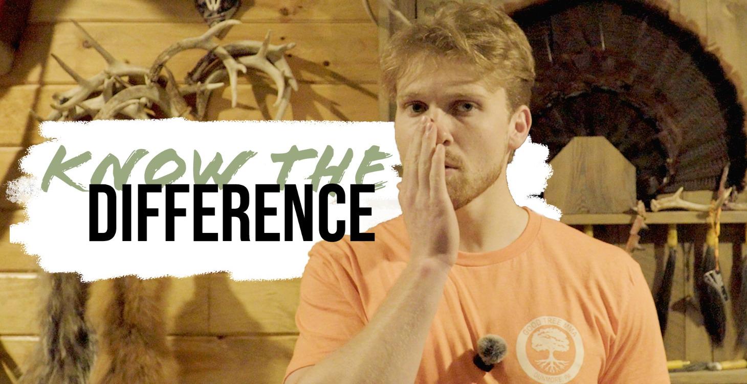 Communication Basics