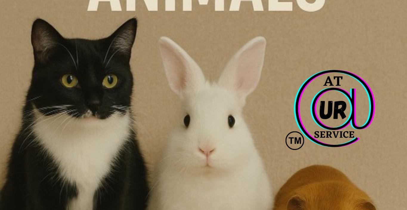 All about Therapy Dogs!!