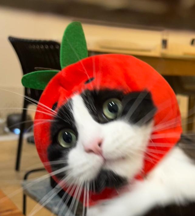 Agatha Man