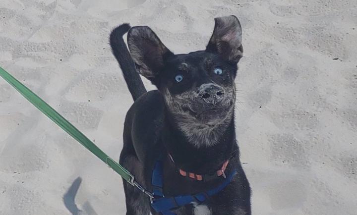 Introduction - Ello!