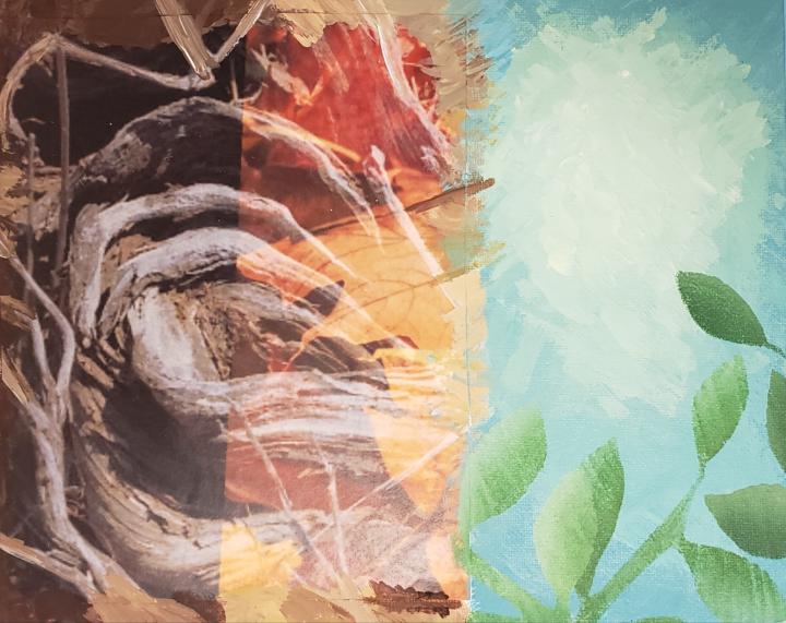 Now that I actually read the instructions...